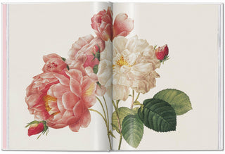 Book, Redouté. Roses (German, French, English)