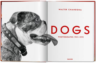 Book Walter Chandoha. Dogs. Photographs 1941–1991 (German, French, English)