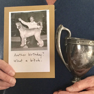 "Another birthday? What a bitch."