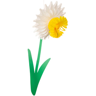 Giant Honeycomb Daffodil