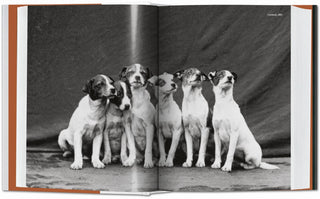 Book The Dog in Photography 1839–Today (German, French, English)
