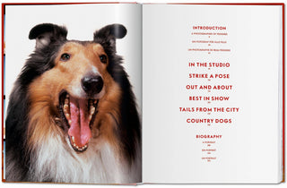 Book Walter Chandoha. Dogs. Photographs 1941–1991 (German, French, English)