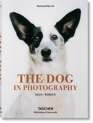 Book The Dog in Photography 1839–Today (German, French, English)