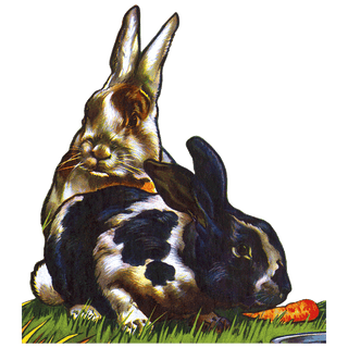 Easter Rabbit - Holiday Sticker Box