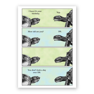 Turtle Birthday Greeting Card
